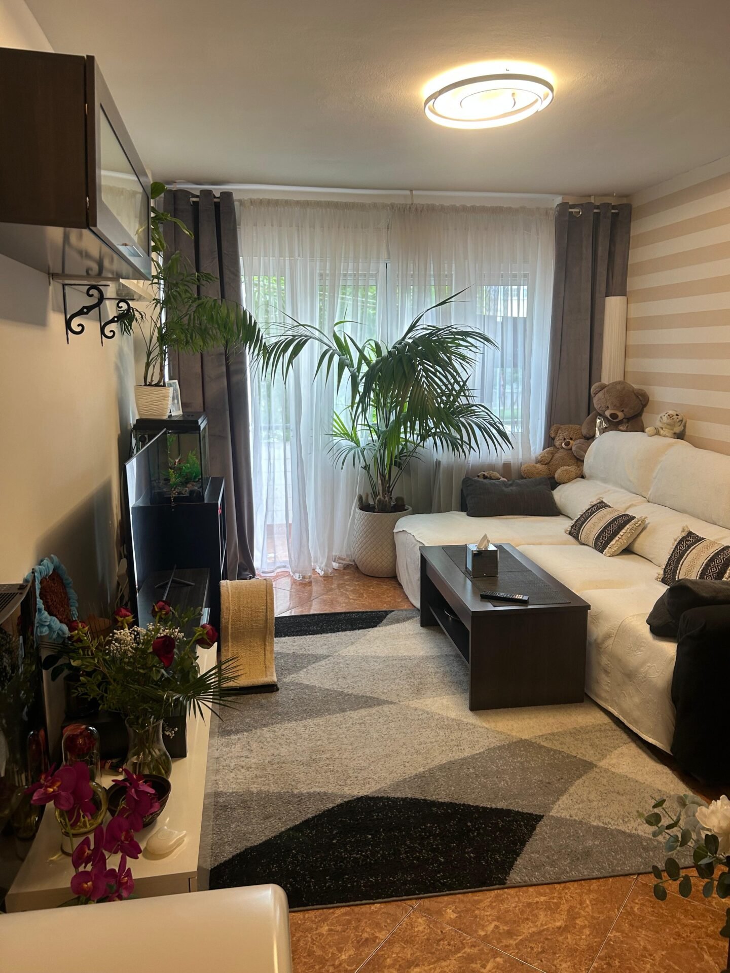 CASA-5-1